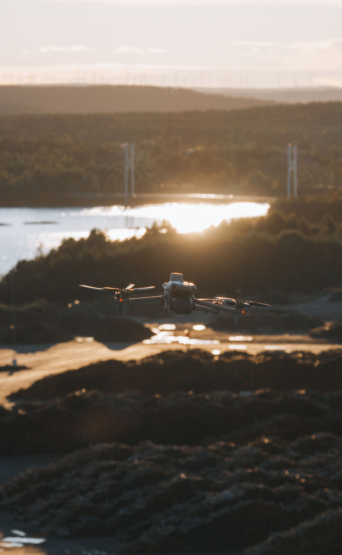 Dimmig barrskog sedd från luften